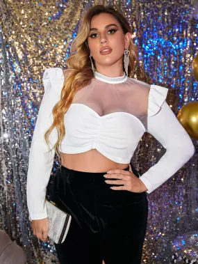 Plain Sheer Long Sleeve Stand Collar Crop Plus Size Blouse